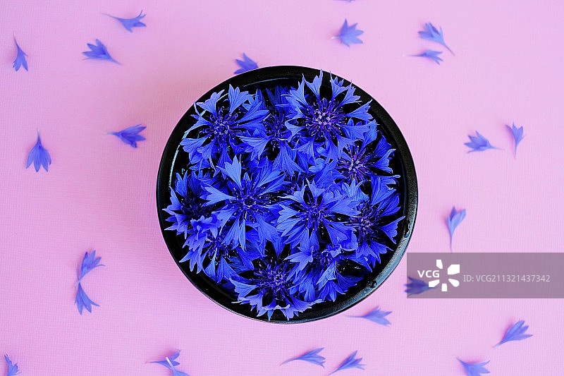 餐盘鲜花桌面俯视图图片素材