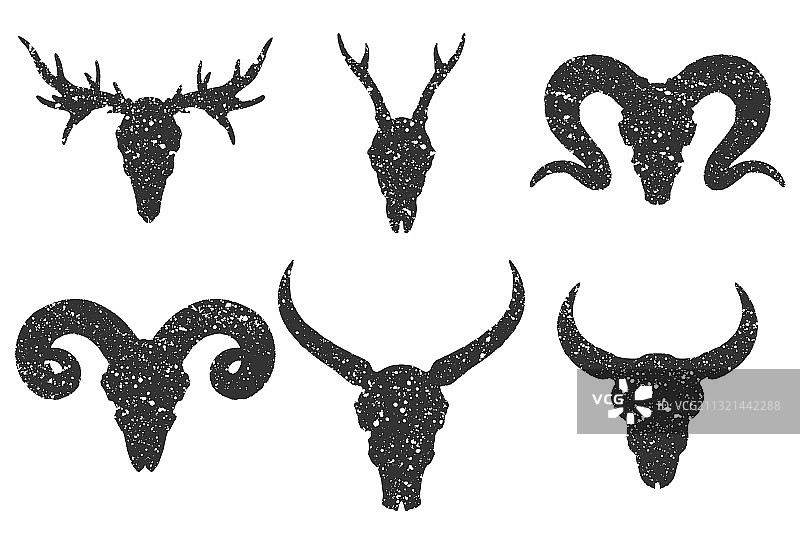 手绘骷髅与角状动物合集图片素材