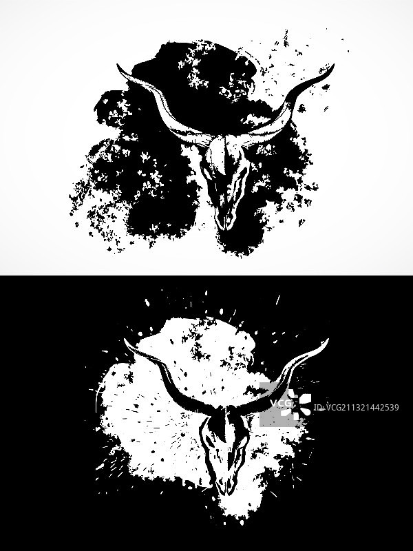羚羊头骨的两种变体：黑白图片素材
