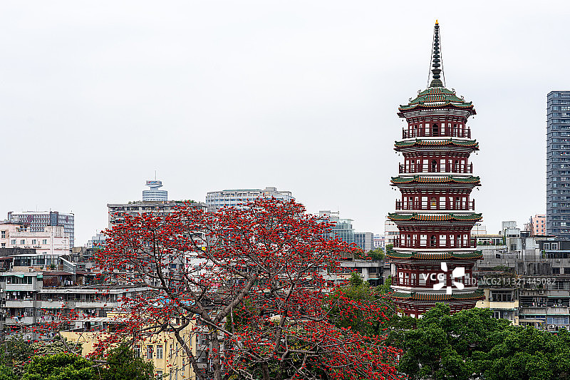 中国广州六榕寺和盛开的木棉花图片素材