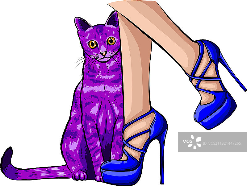 猫咪抬头看美丽的女性腿图片素材