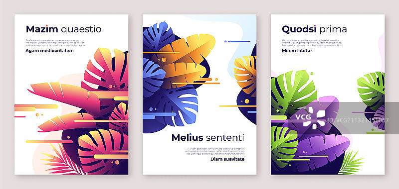 彩色热带背景封面图片素材