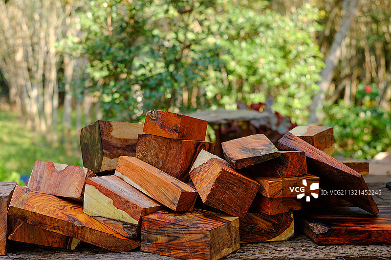 森林中堆叠的原木特写图片素材