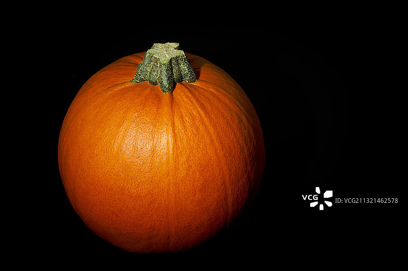 黑色背景下的南瓜特写图片素材