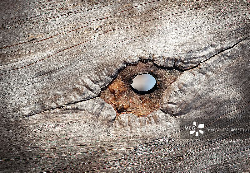 木头上的鸡蛋特写图片素材