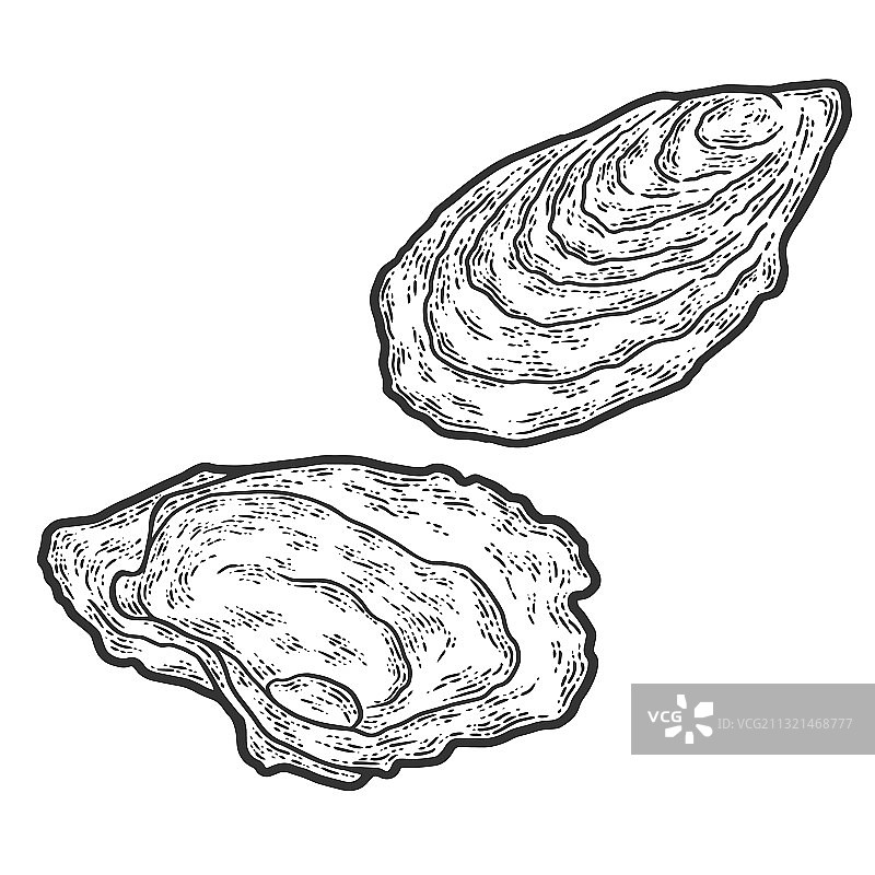 海鲜牡蛎素描刮板模仿图片素材