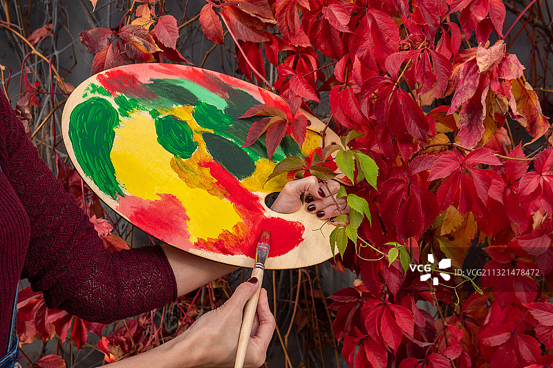 女人拿着秋叶图片素材