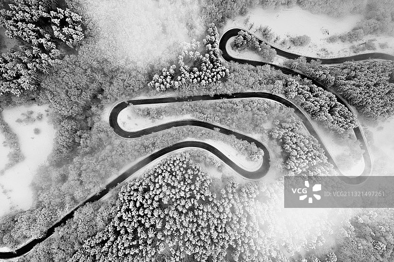 森林中蜿蜒道路航拍图片素材