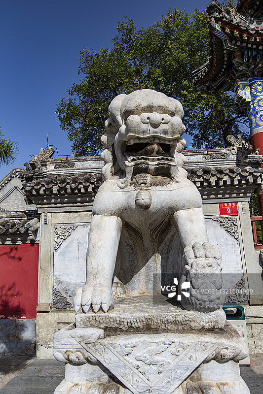 北京白云观棂星门前石狮子图片素材