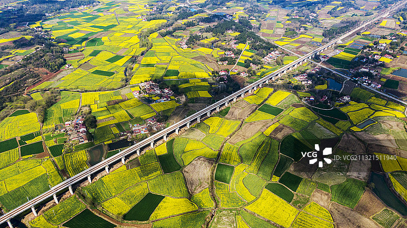 铁路桥下得油菜花（荆门市仙居乡油菜花）图片素材