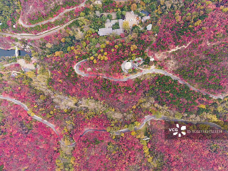 济南红叶谷秋色航拍图片素材