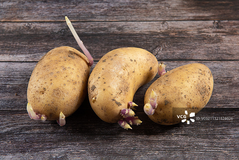 发芽的土豆马铃薯图片素材