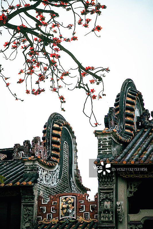 木棉花拍出国画风图片素材