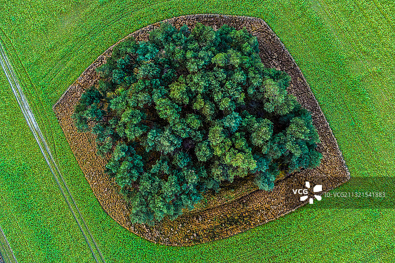 德国莱内菲希滕芬的农田鸟瞰图片素材