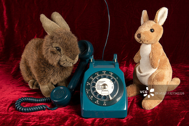 红色背景下兔子特写图片素材