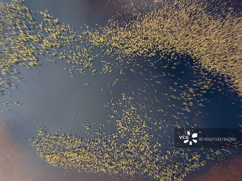 英国厄拉普尔海滨高角度视图图片素材