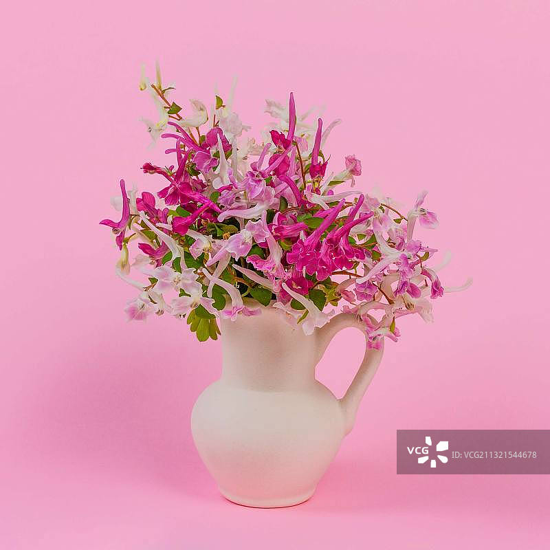 粉色背景下花瓶中的花朵特写图片素材