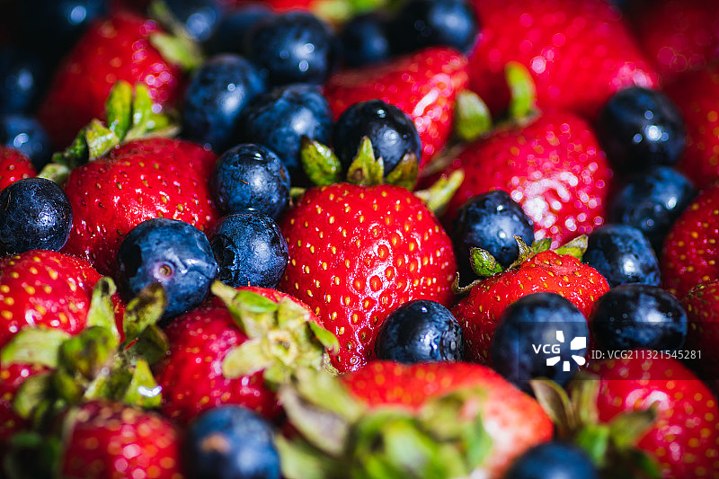 浆果的完整画面图片素材