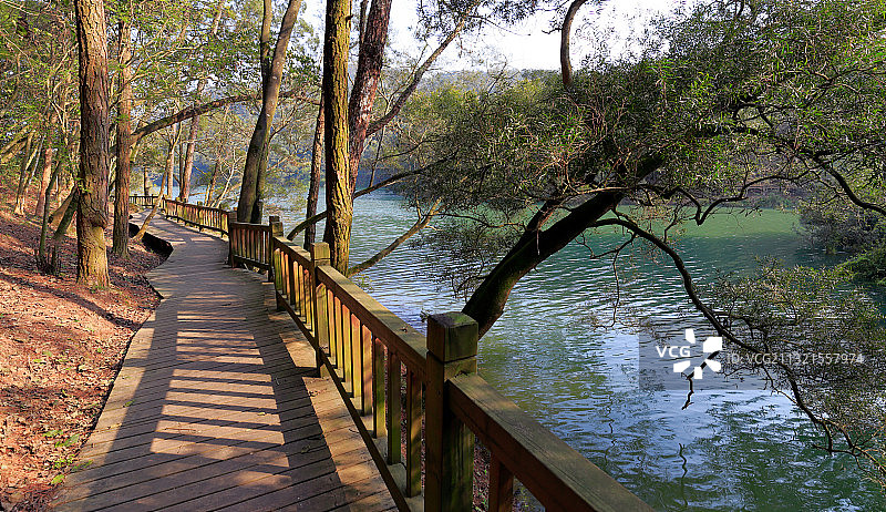 厦门市天竺山公园湖畔木栈道图片素材