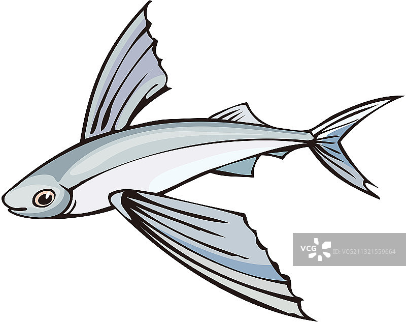 深海鱼图片素材