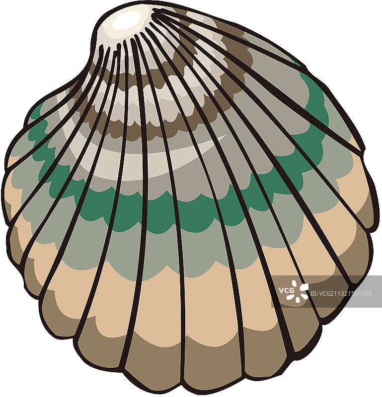 海洋生物图片素材