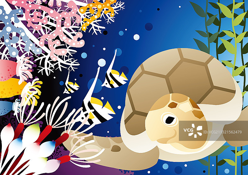 海洋生物图片素材