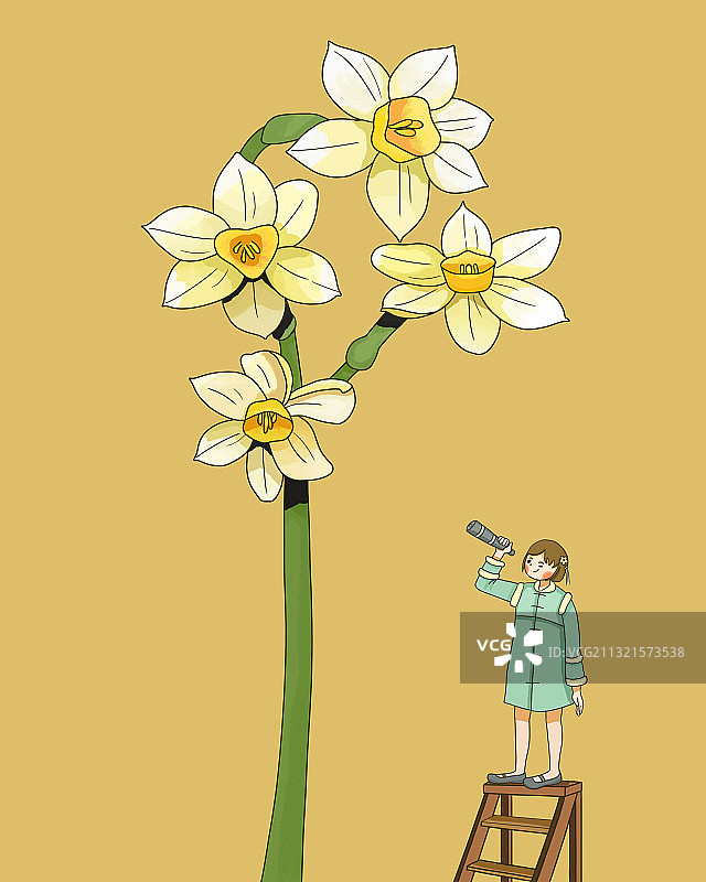 冬日水仙图片素材