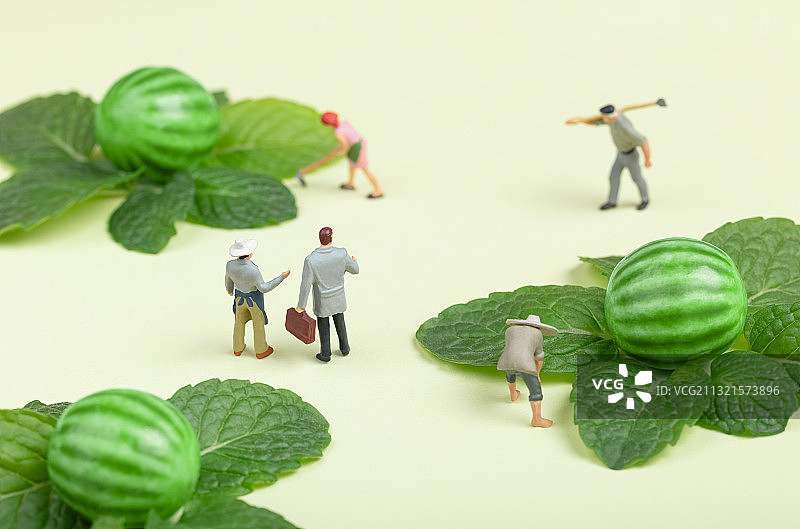 微缩景观夏天乡村丰收的西瓜地瓜农图片素材