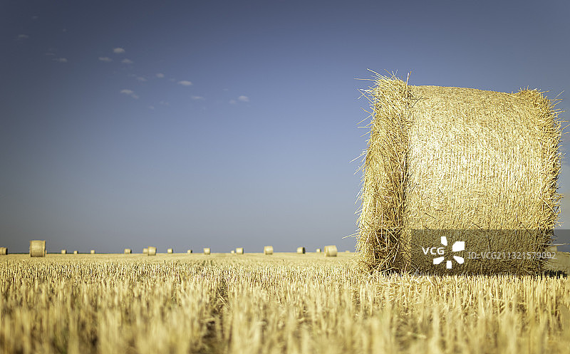 麦田景色图片素材