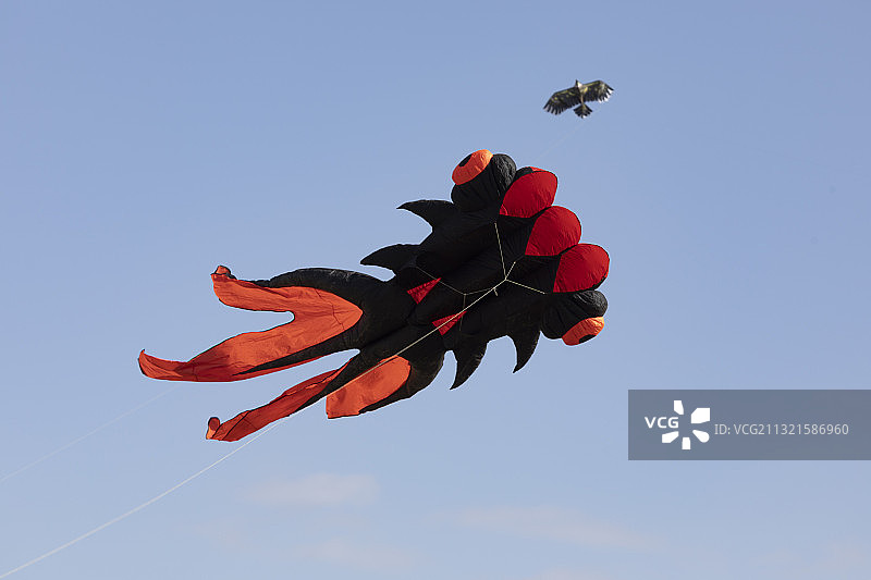 吉林省吉林市北山脚下人民广场上空飞舞着老鹰、蝌蚪等各种各样的图片素材