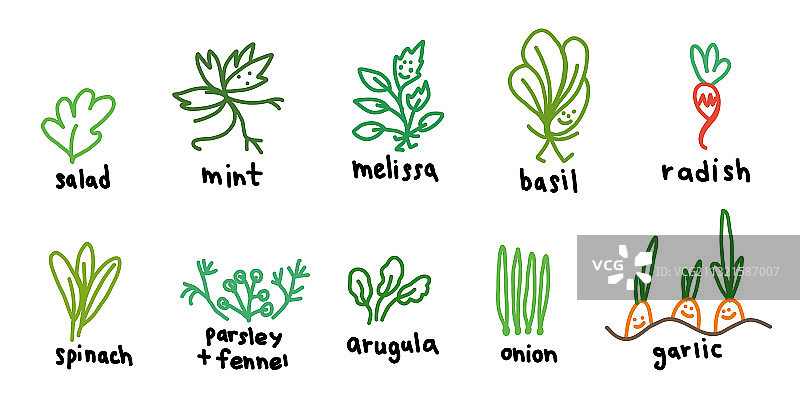 流行的绿色花园植物图标集：沙拉图片素材