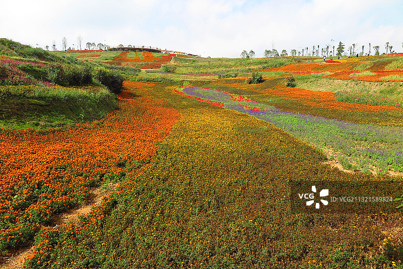 IMG_0840贵州贵阳乌当区羊倡花画小镇2016.9S图片素材