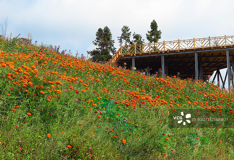 IMG_0848贵州贵阳乌当区羊倡花画小镇2016.9S图片素材