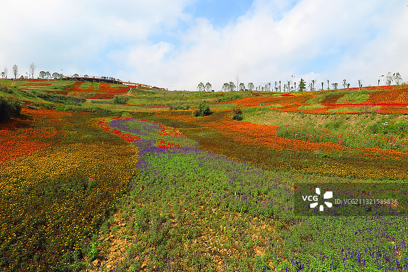 IMG_0837贵州贵阳乌当区羊倡花画小镇2016.9S图片素材