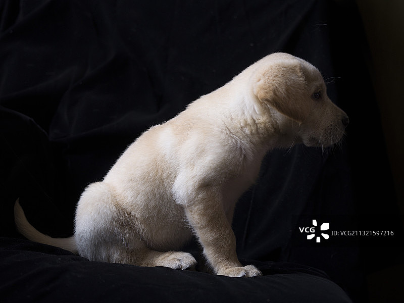 侧面写真图片素材