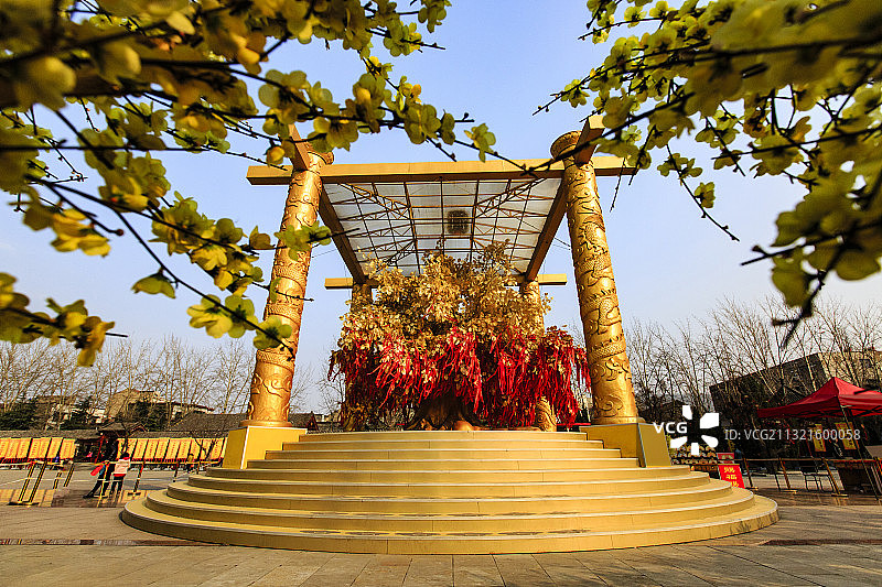 河南新郑黄帝故里祈福树图片素材