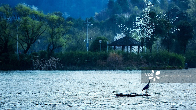 观山湖春晓图片素材