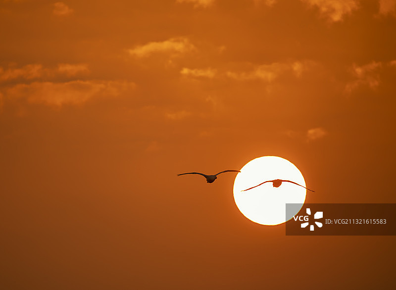 威海荣城烟墩角图片素材