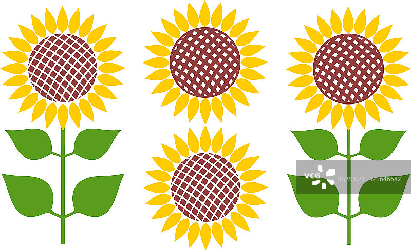 向日葵图片素材