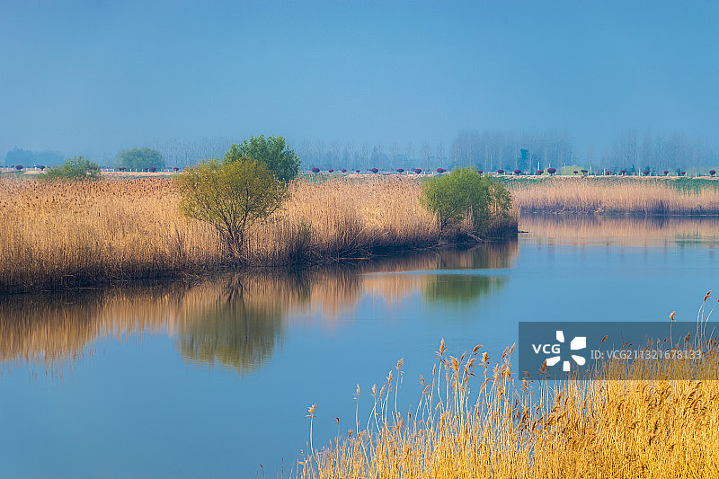 中国南京浦口区张圩油菜花海自然风光图片素材