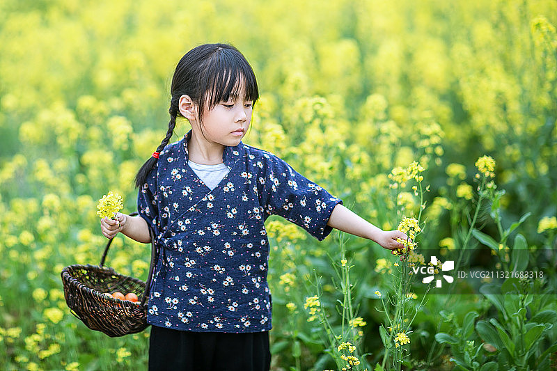 身穿村姑服在油菜花田里玩耍的小女孩图片素材