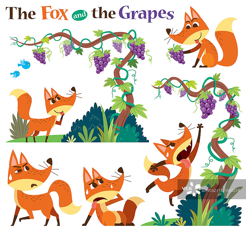 狐狸和葡萄图片素材