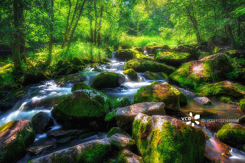 伊春小兴安岭风光图片素材