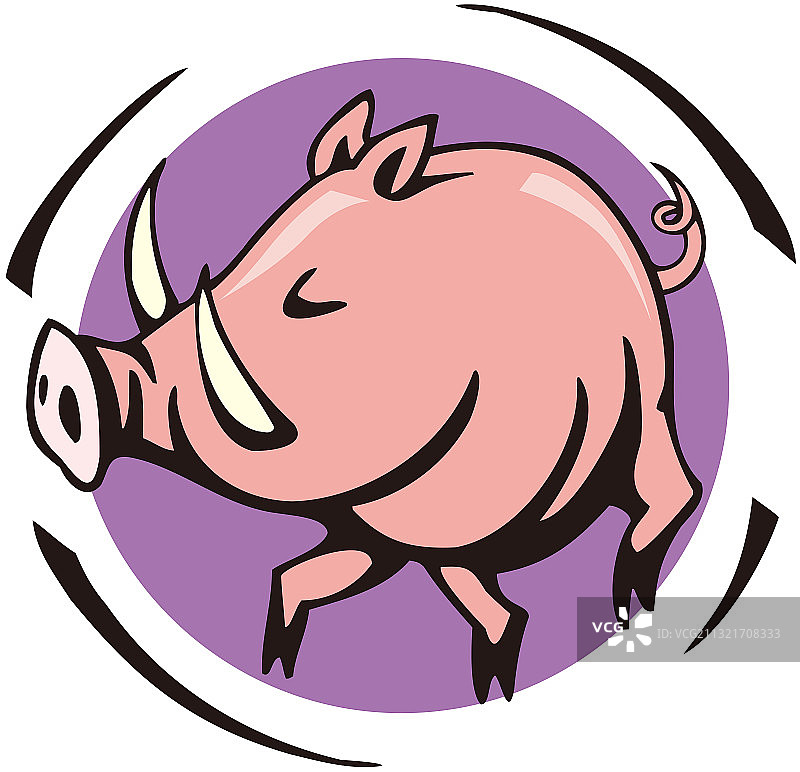 十二生肖图片素材