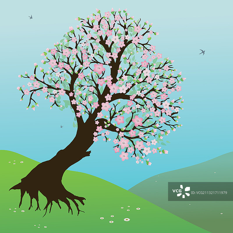 带有山丘草地和美丽花朵的景观图片素材