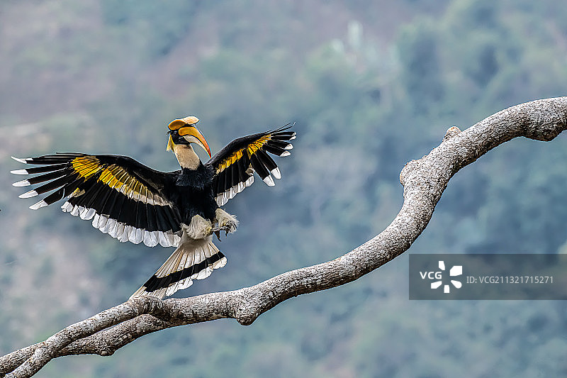 我来了图片素材