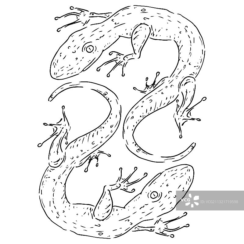 手绘蜥蜴图标图片素材