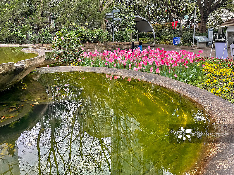 上海人民公园图片素材