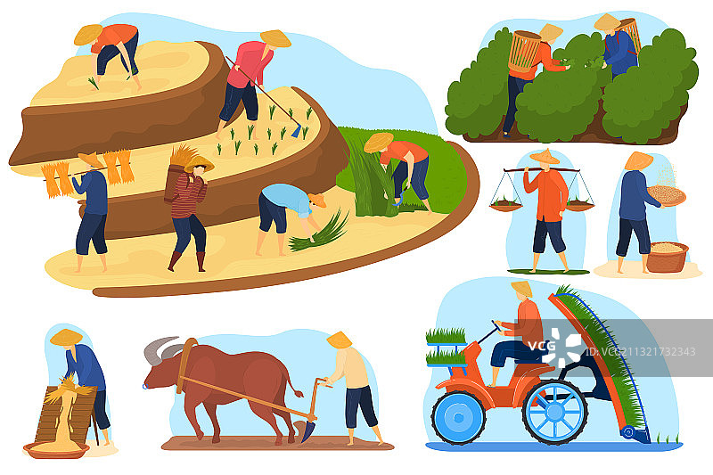 亚洲稻田场景图片素材