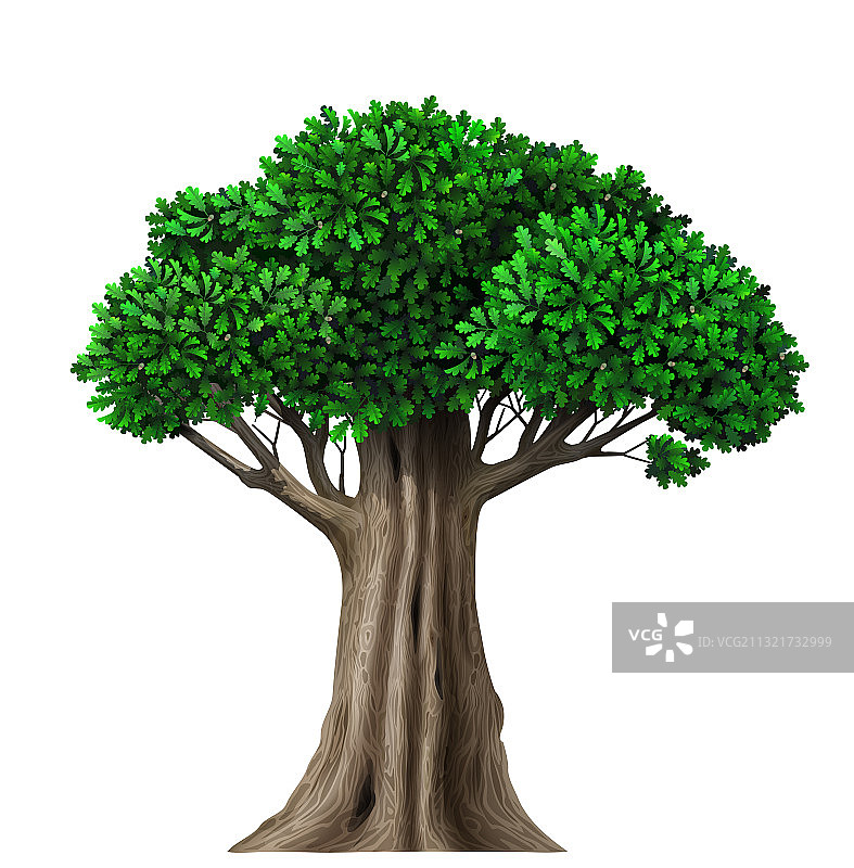 逼真的古老童话橡树图片素材